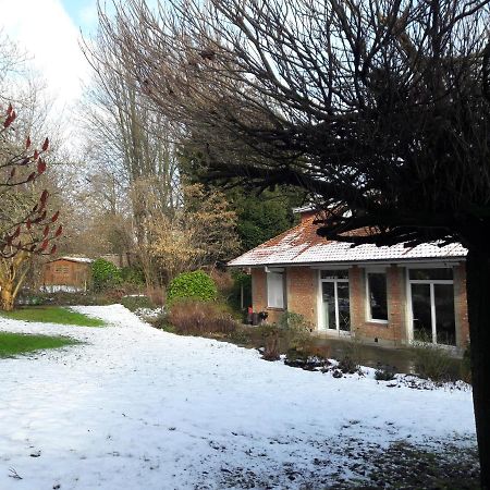 Un Grand Jardin En Ville. Chez Guy Uccle ภายนอก รูปภาพ