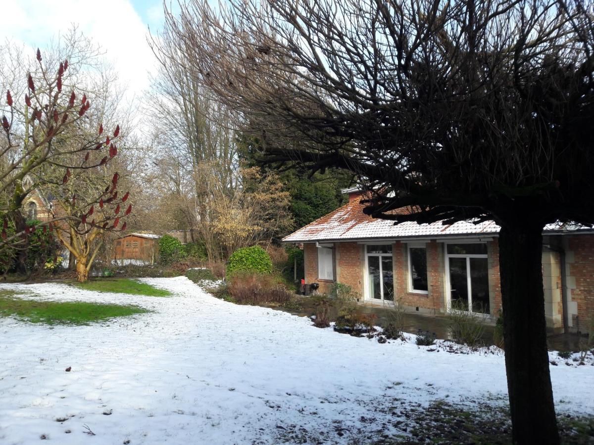 Un Grand Jardin En Ville. Chez Guy Uccle ภายนอก รูปภาพ
